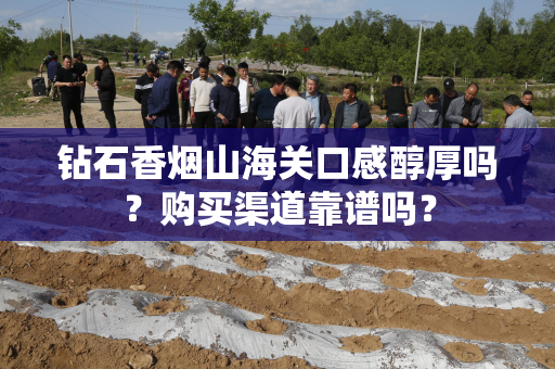 钻石香烟山海关口感醇厚吗？购买渠道靠谱吗？